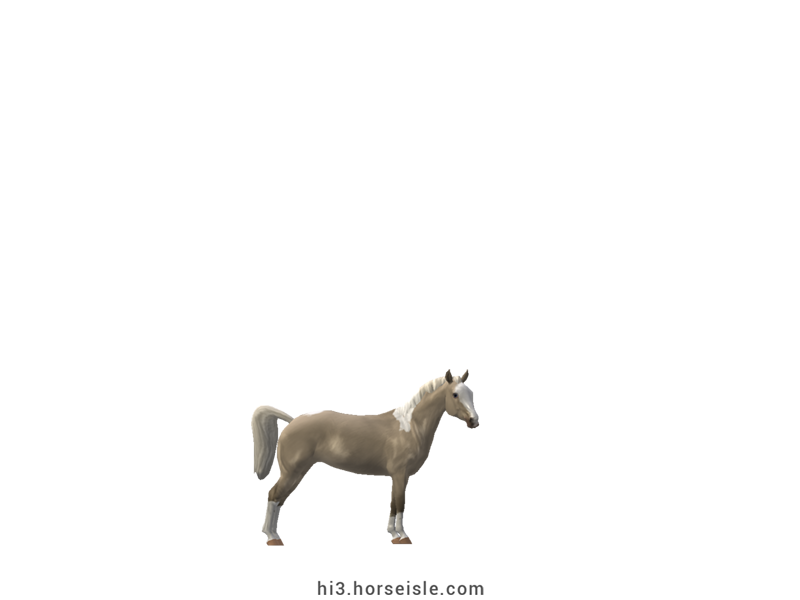 American Miniature Horse Linebacked Classic Pearl Silver Tobiano Coat